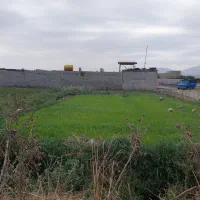 زمین زینب آباد کوچه مخابرات