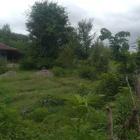 زمین مسکونی در سنگر با پروانه|فروش زمین و ملک کلنگی|رشت, کاکتوس|دیوار