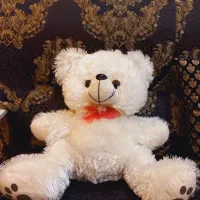 عروسکهای خارجی موزیکال کاملن نو|اسباب‌بازی بچه|ماهدشت, |دیوار