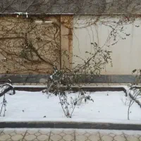 اجاره|اجارهٔ خانه و ویلا|زنجان, |دیوار