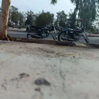 هوندا 125|موتورسیکلت|زرند, |دیوار