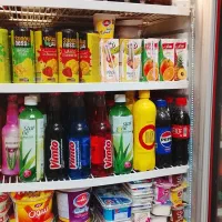 یخچال مغازه تک در سالم به شرط یخ یخ|فروشگاه و مغازه|مشهد, آیت الله کاشانی|دیوار
