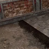 بنا|خدمات پیشه و مهارت|ایرانشهر, |دیوار