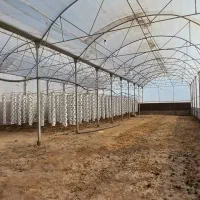 کشت عمودی . هیدروپونیک