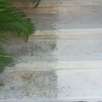 کفسابی سنگسابی کفشویی سنگ سابی کف سابی|خدمات نظافت|کرج, حصارک بالا|دیوار