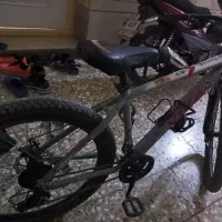 دوچرخه ویوا 26 همراه با قفل چرخ، سرکرمک و روکش ص