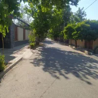 باغبانی گل کاری محلول حذف هرز تقویتی باردهی پیوند|خدمات باغبانی و درختکاری|زابل, |دیوار