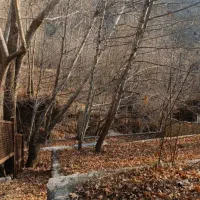 ۶۴۵ متر زمین مسکونی در جاده طالقان شهر زیاران