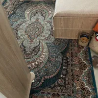 فرش|فرش|رشت, کوی مهر|دیوار