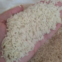 برنج طارم|خوردنی و آشامیدنی|قرچک, زیبا شهر|دیوار