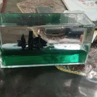 دکوری مدل کشتی معلق