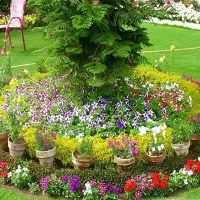 باغبانی وعلف زنی و تیلرزنی و سمپاشی  و هرس کردن