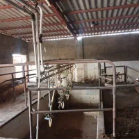 گاوداری ۲ هزار متری ،جهت مصارف صنعتی|فروش دفتر صنعتی، کشاورزی، تجاری|اصفهان, قلعه نو|دیوار