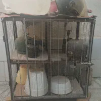 قفس آهنی