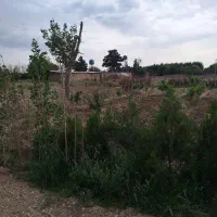 زمین ۳۰۰ متر فیروز بهرام|فروش زمین و ملک کلنگی|چهاردانگه (تهران), |دیوار