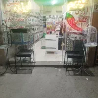 تابلو ال ای دی مغازه پرنده . گندم . ارزن .