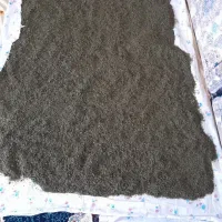 سبزی قورمه سبزی