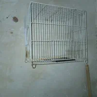 قفس پرنده