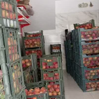 سیب تاره شهرستان ابدار خوش مزه|خوردنی و آشامیدنی|قم, سید معصوم|دیوار