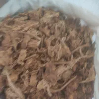 برگ زرد بنیاد ومحمود