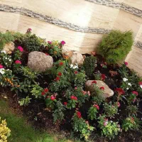 سمپاشی وباغبانی هرس  تیلر زدن کودوگل خاک همه جا|خدمات باغبانی و درختکاری|مشهد, وکیل‌آباد|دیوار