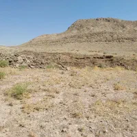 کود حیوانی گوسفند
