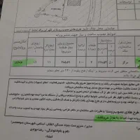 زمین۳۵۰متریمسکونیمستسنیاتدردلجنگلروستای|فروش زمین و ملک کلنگی|ماسال, |دیوار