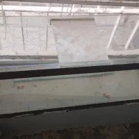 اکواریوم