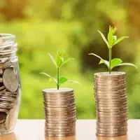 درآمد زایی در خانه برای خانمها و حتی آقایون