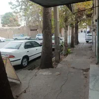 زمین-بلوار-عدالت
