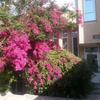 منزل دوطبقه ۱۸۰متری با پارکینگ