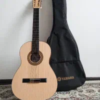 گیتار حرفه ای