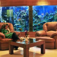 ساخت و طراحی انواع آکواریوم