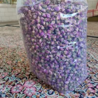 غنچه گل محمدی