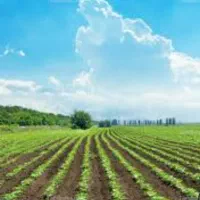 کار های کشاورزی