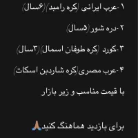 فروش ۵ راس اسب مادیان نژاد دار زیر قیمت