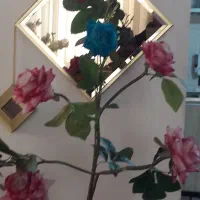 چند شاخه برزگ گل روز به فروش میرسد