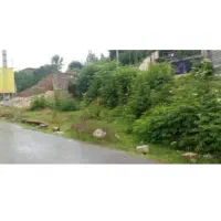 زمین-طلاجو-جاده-چالوس-حدود-صدو-بیست-سی-متر