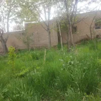 فروش خونه باغ ویلایی و باغ جداگانه در بزنجان بافت|فروش خانه و ویلا|بافت, |دیوار