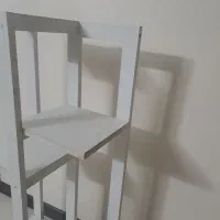 پایه گل|گل و گیاه طبیعی|ری, دولتآباد|دیوار