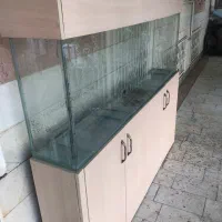 آکواریوم