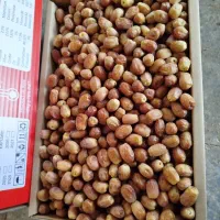 فروش انواع خرمایی کبکاب.خاصه  ‌وژاهدی|عمده‌فروشی|زرندیه, |دیوار