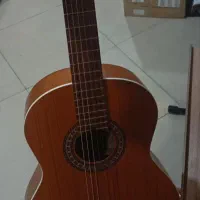 گیتار پارسی مدل M6