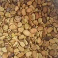 فروش باقالی