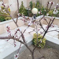 واحد-ویلایی-90مترفاز-چهار