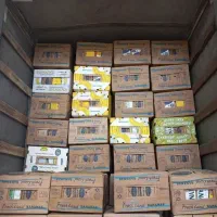 خرید فروش کارتن موزی|عمده‌فروشی|چهاردانگه (تهران), |دیوار