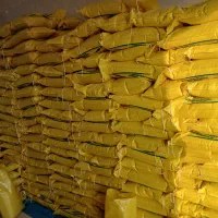 برنج عنبربو امسال کتوند