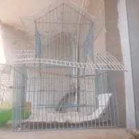 قفس پرنده|لوازم جانبی حیوانات|اهواز, کوی مهدیس|دیوار