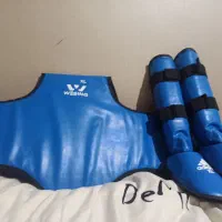 ساق بند و هوگو وشو و کیک بوکسینگ