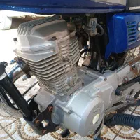 سی دی ژاپن پلم ۸۱